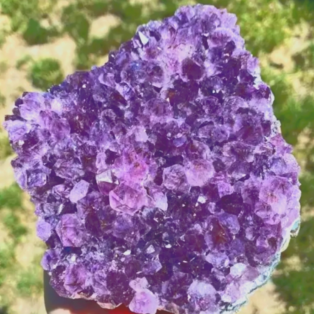 Meet your Posher, Amethyst